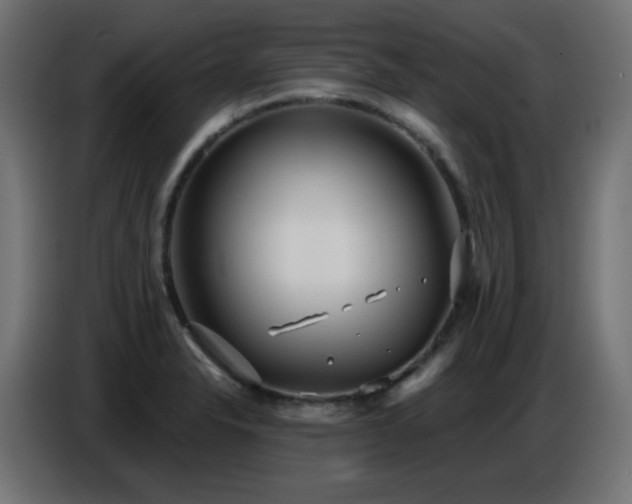 X0000086751326200704131142