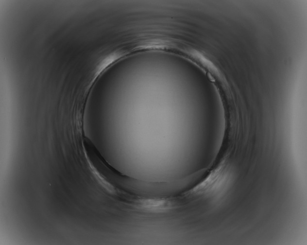 X0000086751329200704131142