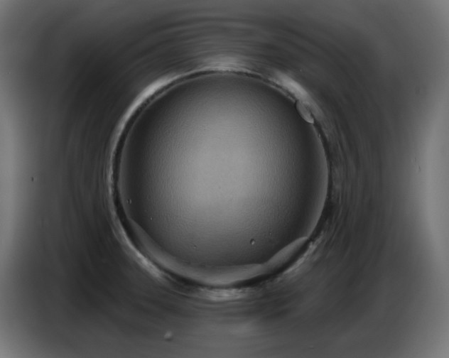 X0000086751331200704131142