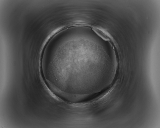 X0000086751333200704131142
