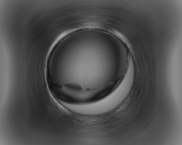 X0000086751334200704131142