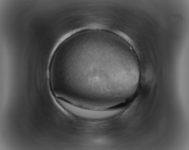 X0000086751335200704131143