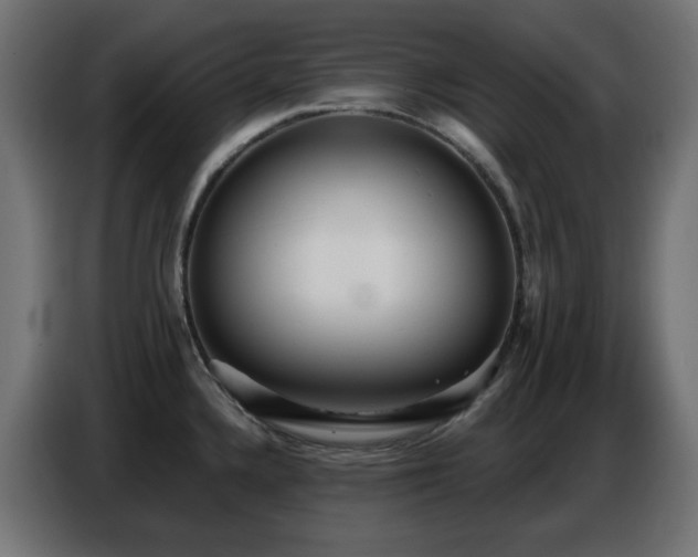 X0000086751336200704131143