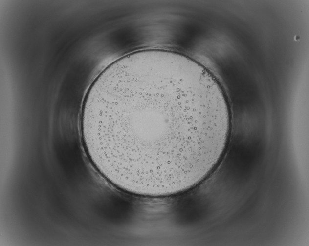 X0000086751338200704131143