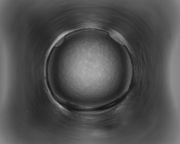 X0000086751339200704131143