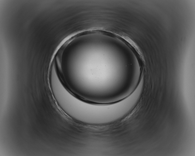 X0000086751340200704131143