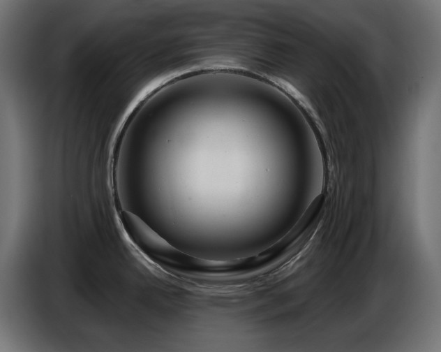 X0000086751342200704131143