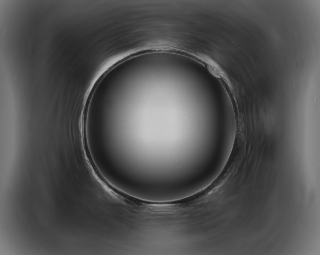 X0000086751343200704131143