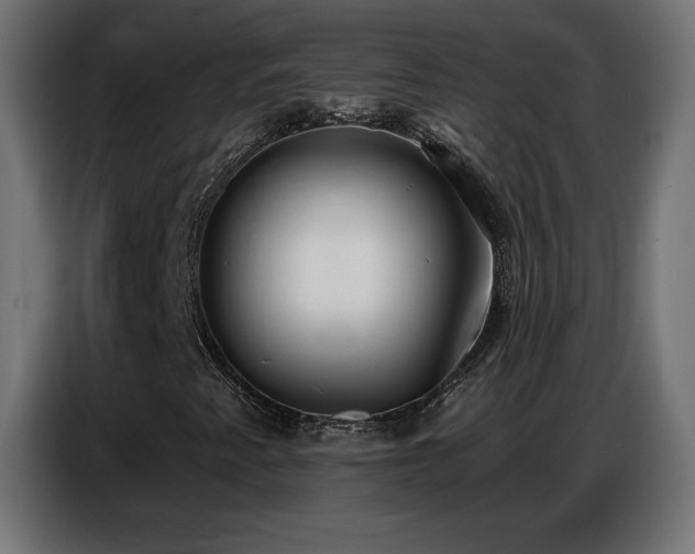 X0000086751345200704131142