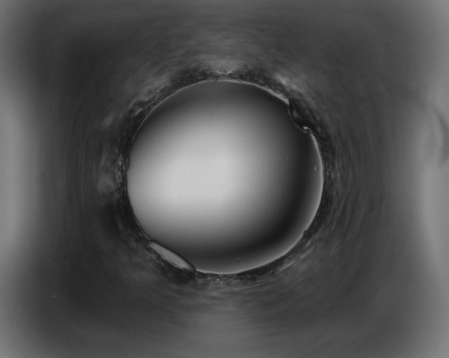 X0000086751349200704131142