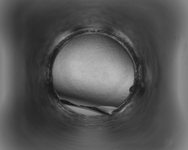 X0000086751352200704131142