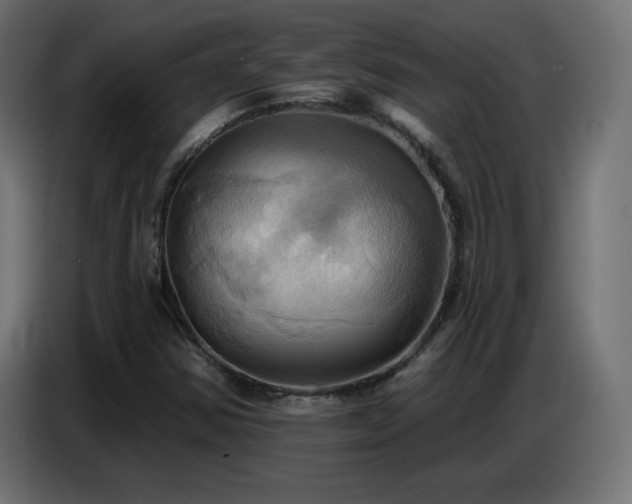 X0000086751354200704131142