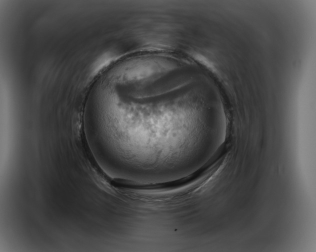 X0000086751355200704131142