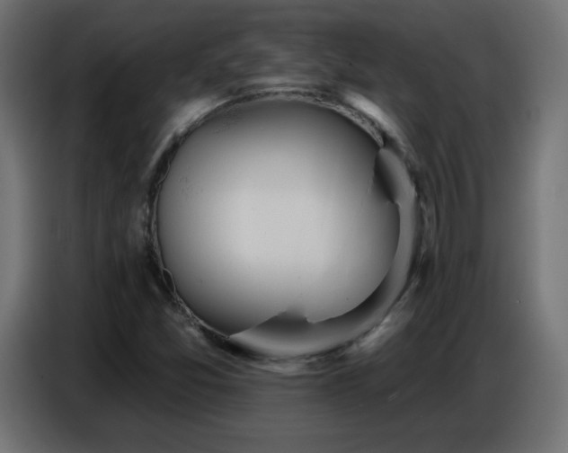 X0000086751357200704131142