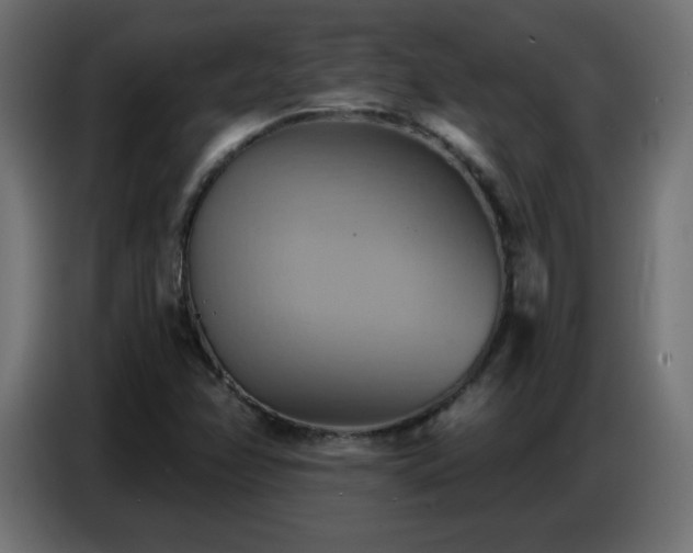 X0000086751358200704131142