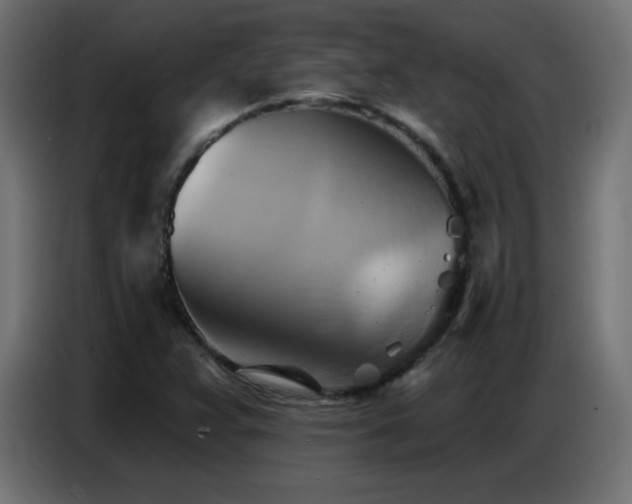 X0000086751359200704131142