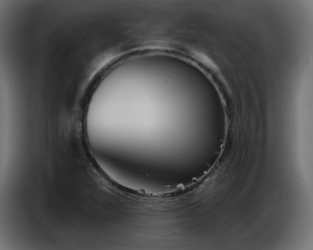X0000086751360200704131142