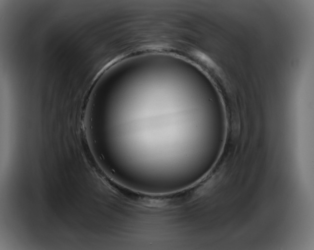 X0000086751361200704131142