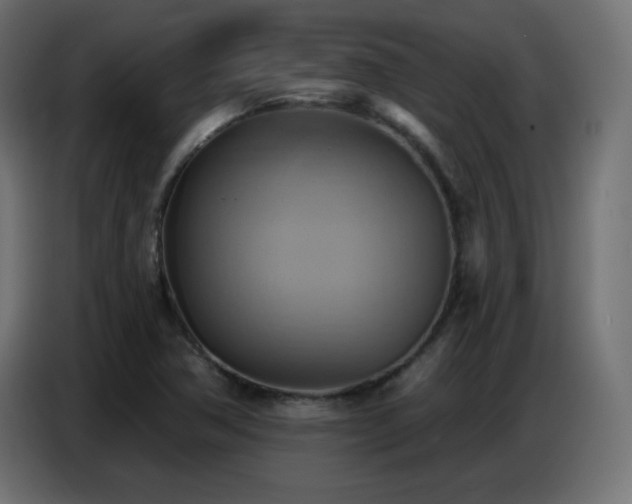 X0000086751362200704131142