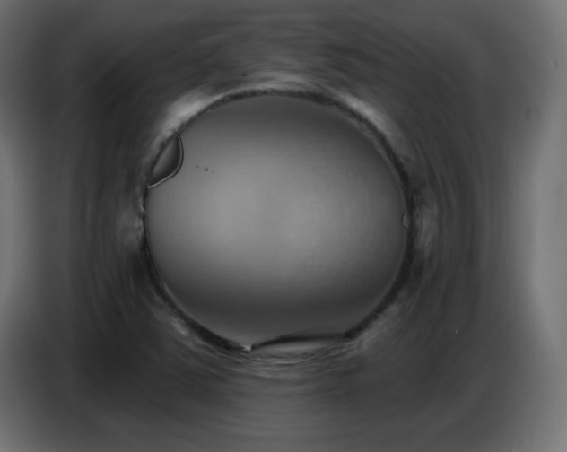 X0000086751363200704131142