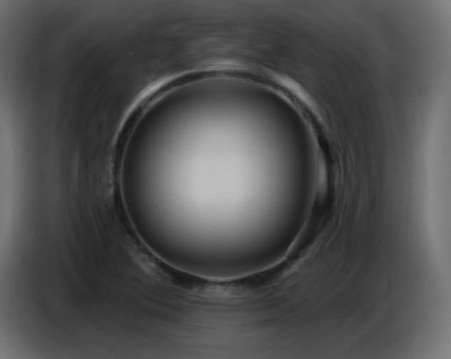 X0000086751364200704131142