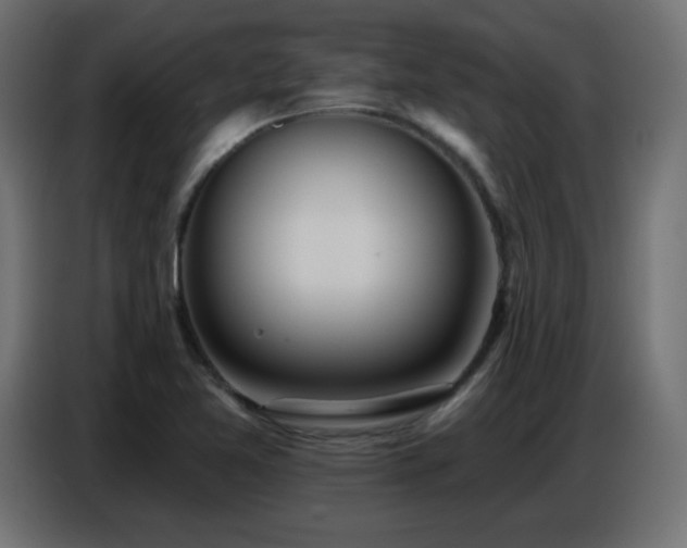 X0000086751365200704131142