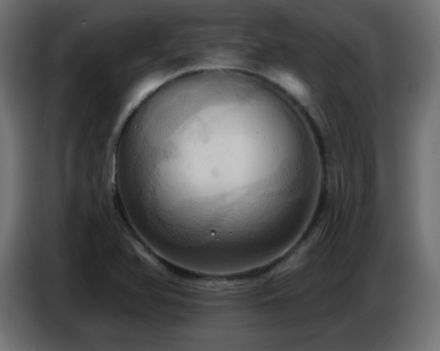 X0000086751366200704131142