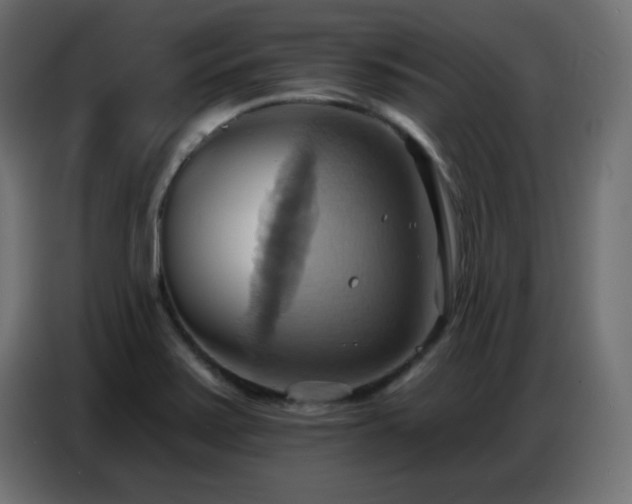 X0000086751371200704131142