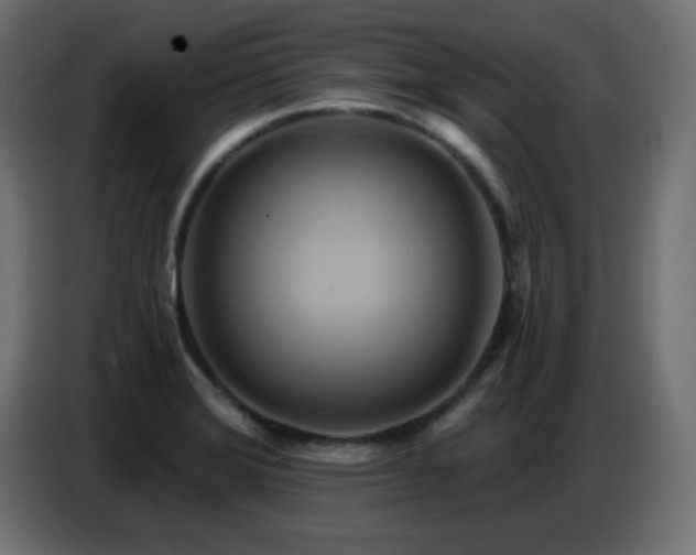 X0000086751372200704131142