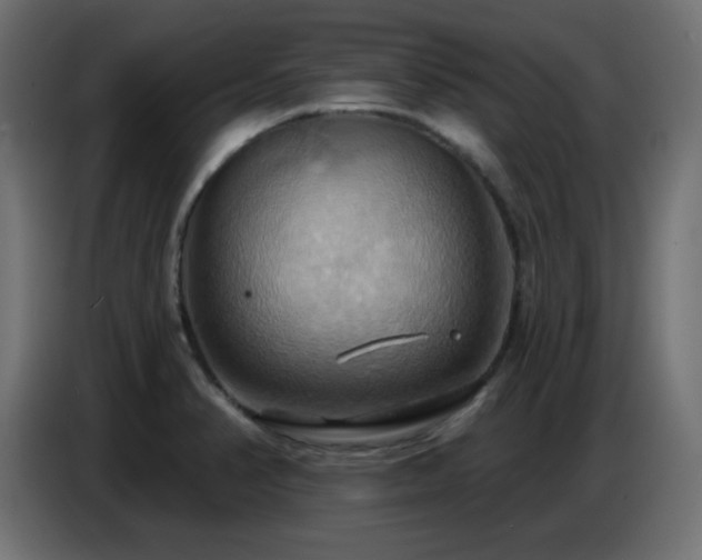 X0000086751374200704131142