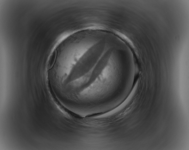 X0000086751375200704131142