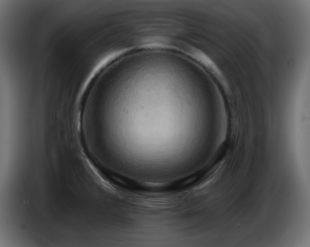 X0000086751376200704131142