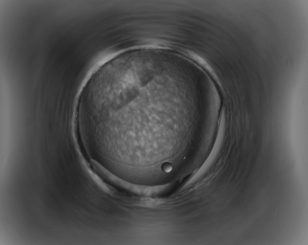 X0000086751379200704131141