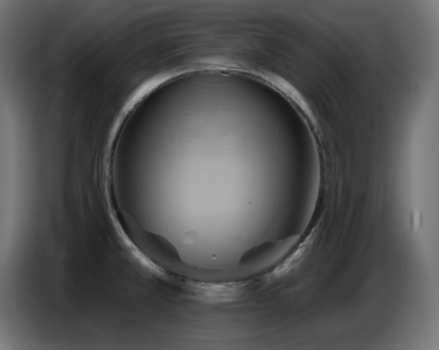 X0000086751381200704131141