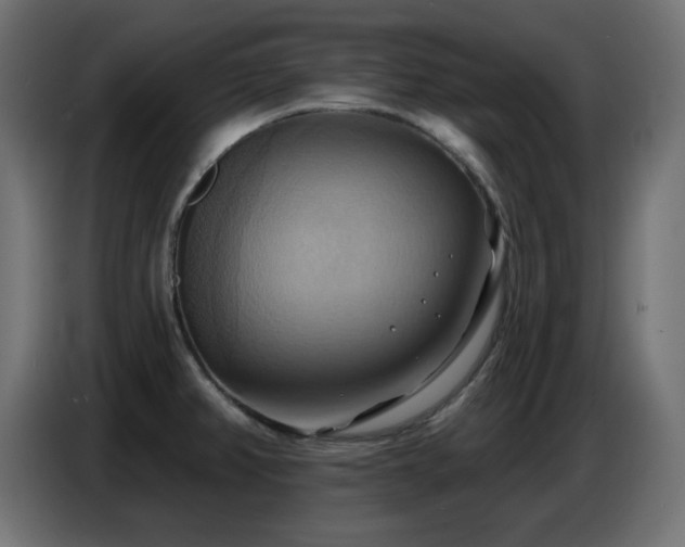 X0000086751382200704131141