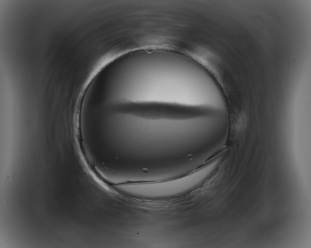 X0000086751383200704131141