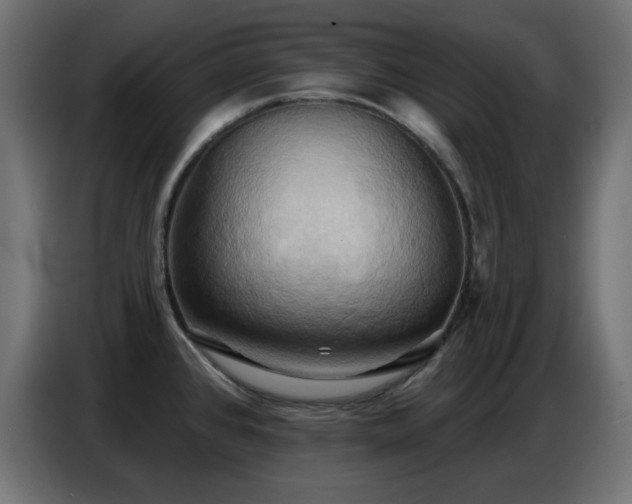 X0000086751384200704131141