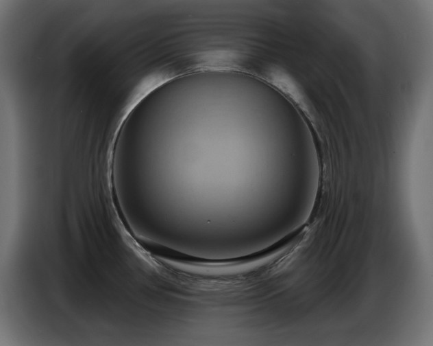 X0000086751386200704131141
