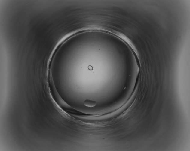 X0000086751388200704131141