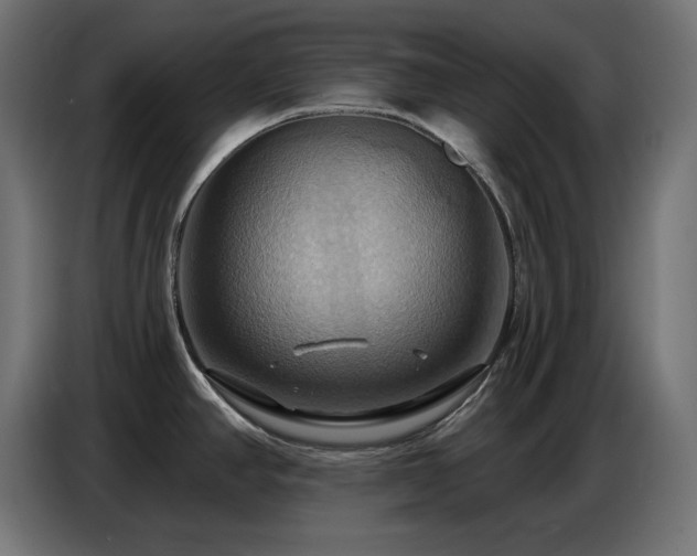 X0000086751390200704131141
