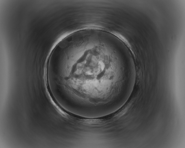 X0000086751391200704131141