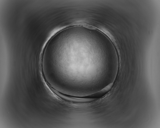 X0000086751392200704131141
