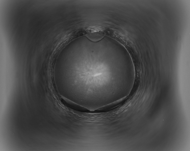 X0000086751393200704131141