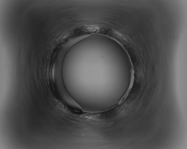 X0000086751394200704131141