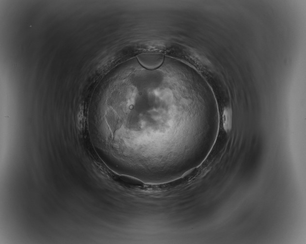 X0000086751395200704131141