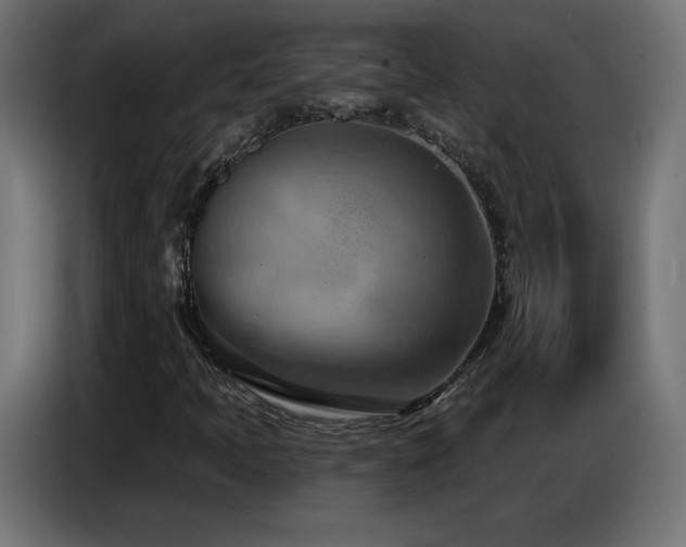 X0000086751397200704131141