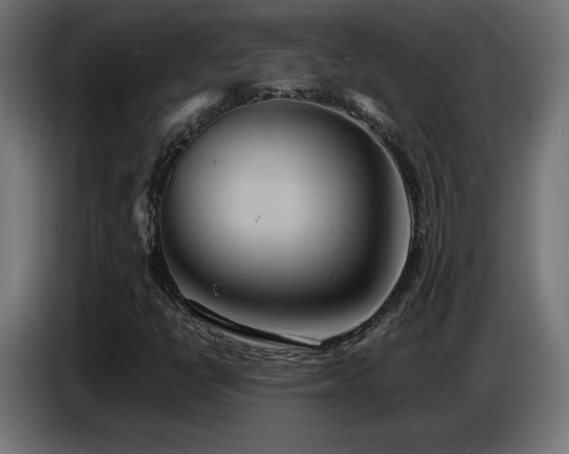 X0000086751398200704131141