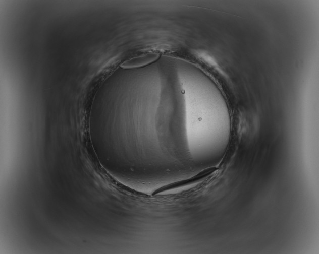 X0000086751399200704131141