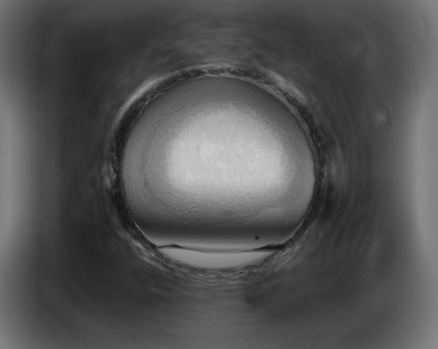 X0000086751400200704131141