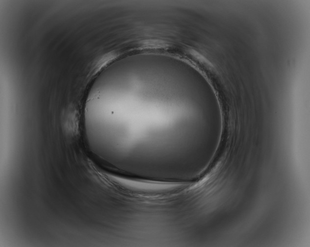 X0000086751401200704131141